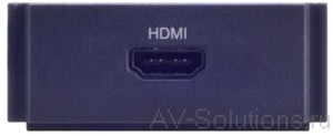  HPX-AV101-HDMI provides an HDMI